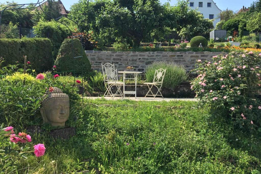 Schoenste Location In Wuerzburg Exterior foto